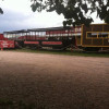 Bison Train Tours | Terry Bison Ranch Resort
